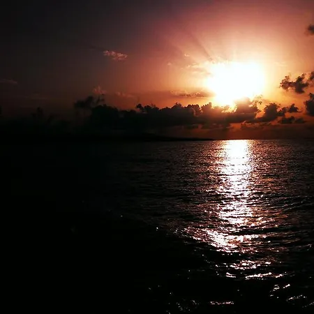 C32 In Dream Complex ラヴダ