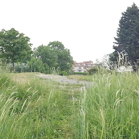 C32 In Dream Complex