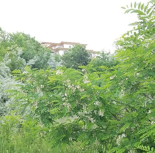 C32 In Dream Complex Ravda